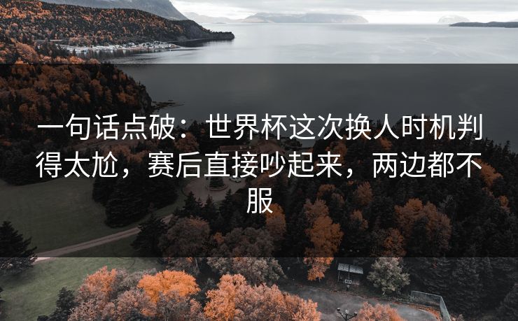 一句话点破：世界杯这次换人时机判得太尬，赛后直接吵起来，两边都不服