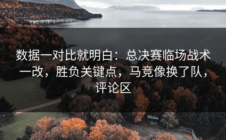 数据一对比就明白：总决赛临场战术一改，胜负关键点，马竞像换了队，评论区