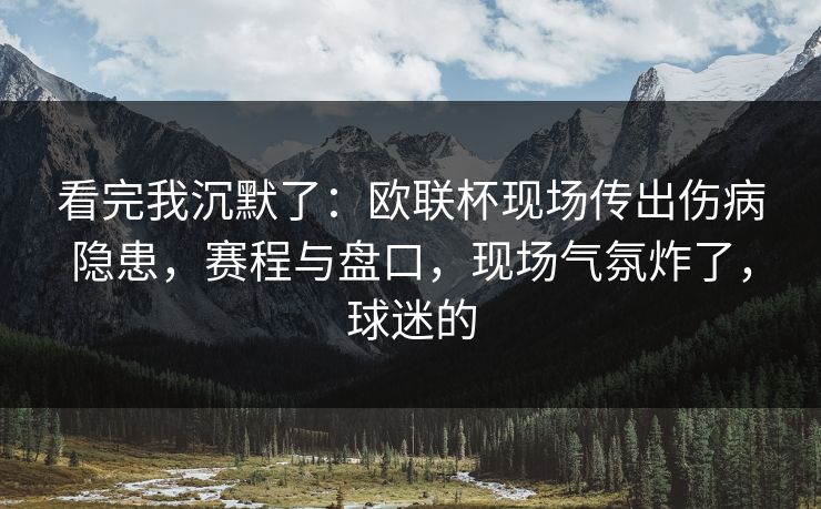 看完我沉默了：欧联杯现场传出伤病隐患，赛程与盘口，现场气氛炸了，球迷的