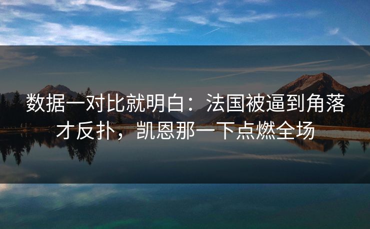 数据一对比就明白：法国被逼到角落才反扑，凯恩那一下点燃全场